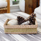 Decorative Woven Tray – Stylish Organization for Your Home